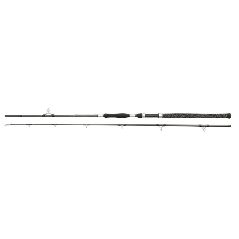 Sumcový prut Penn Legion Cat Silver Allround 2,40m 100-300g