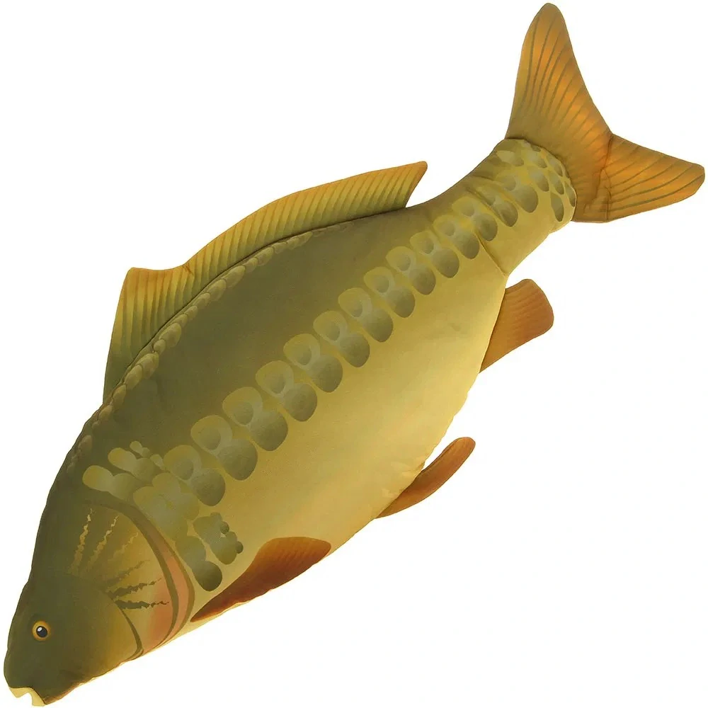 NGT Polštář Kapr 70cm