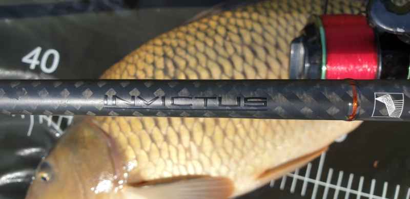 SPORTEX Kaprový prut Invictus Carp 2 díl