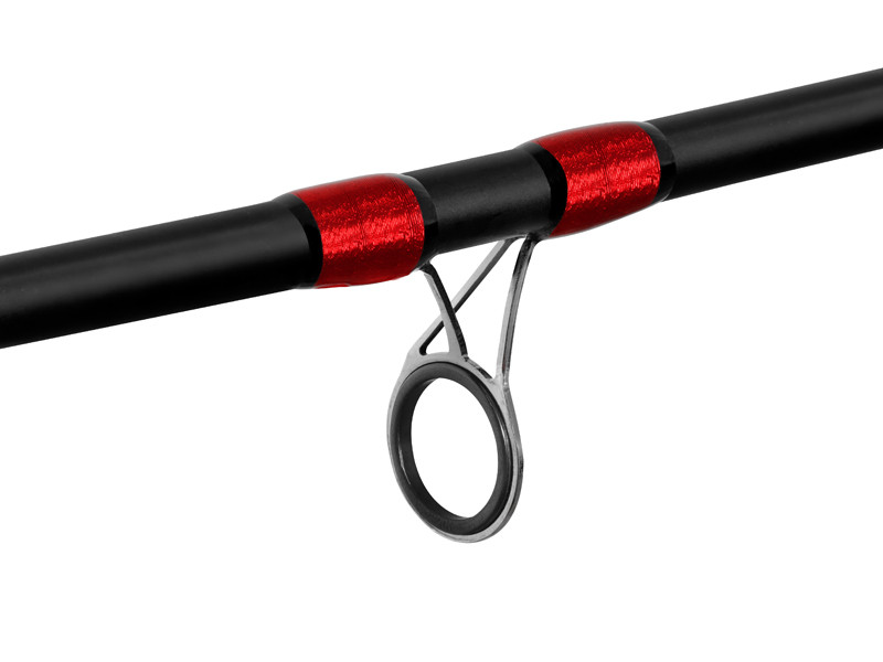 Delphin LEEDER Feeder 3,3m 100g +2 špičky