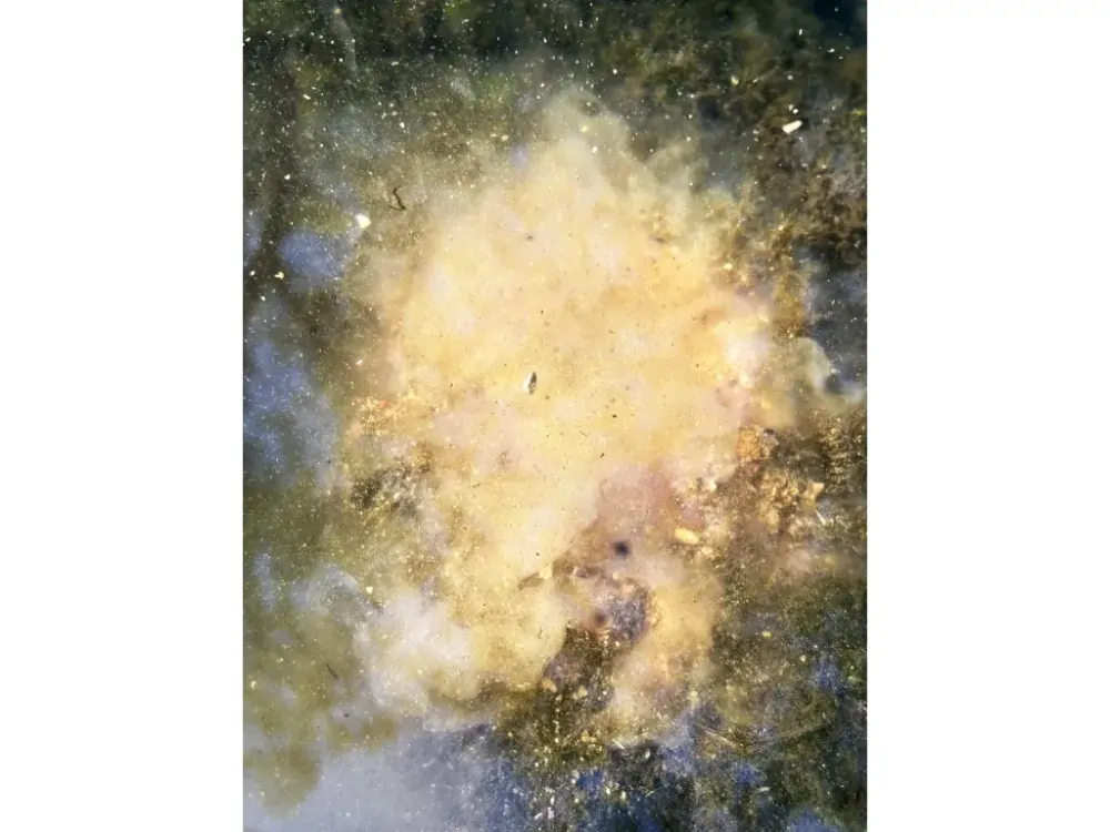 Chytil Krmítková směs Carp Mix 800g