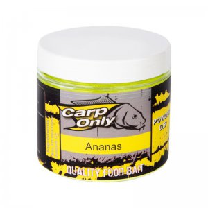 Práškový dip CARP ONLY 100g
