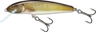 Salmo Wobler Minnow Sinking Grayling 6cm 6g