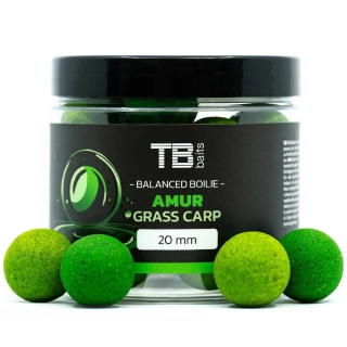 TB Baits Vyvážené Boilie Balanced + Atraktor Amur 100g