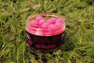 Black Carp Pop-UP Ostružina 15mm 50g